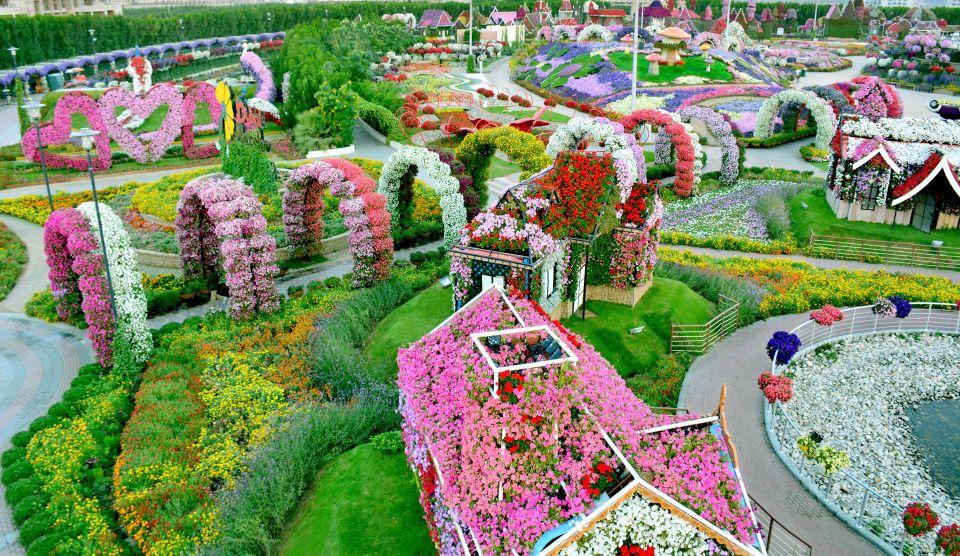 Combo: Global Village + Miracle Garden - Image 11